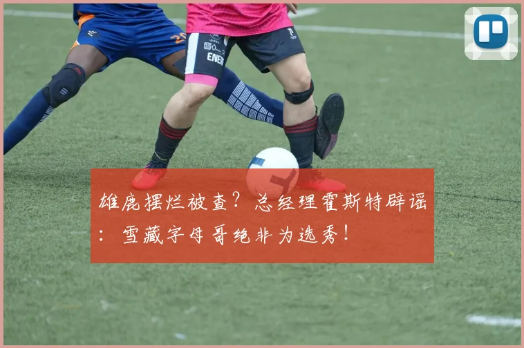 雄鹿摆烂被查？总经理霍斯特辟谣：雪藏字母哥绝非为选秀！